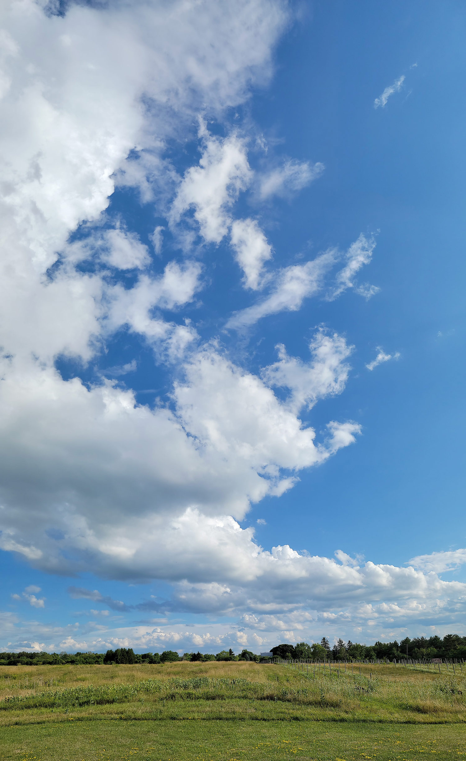 Silver Springs Winery - Backyard View of the Sky