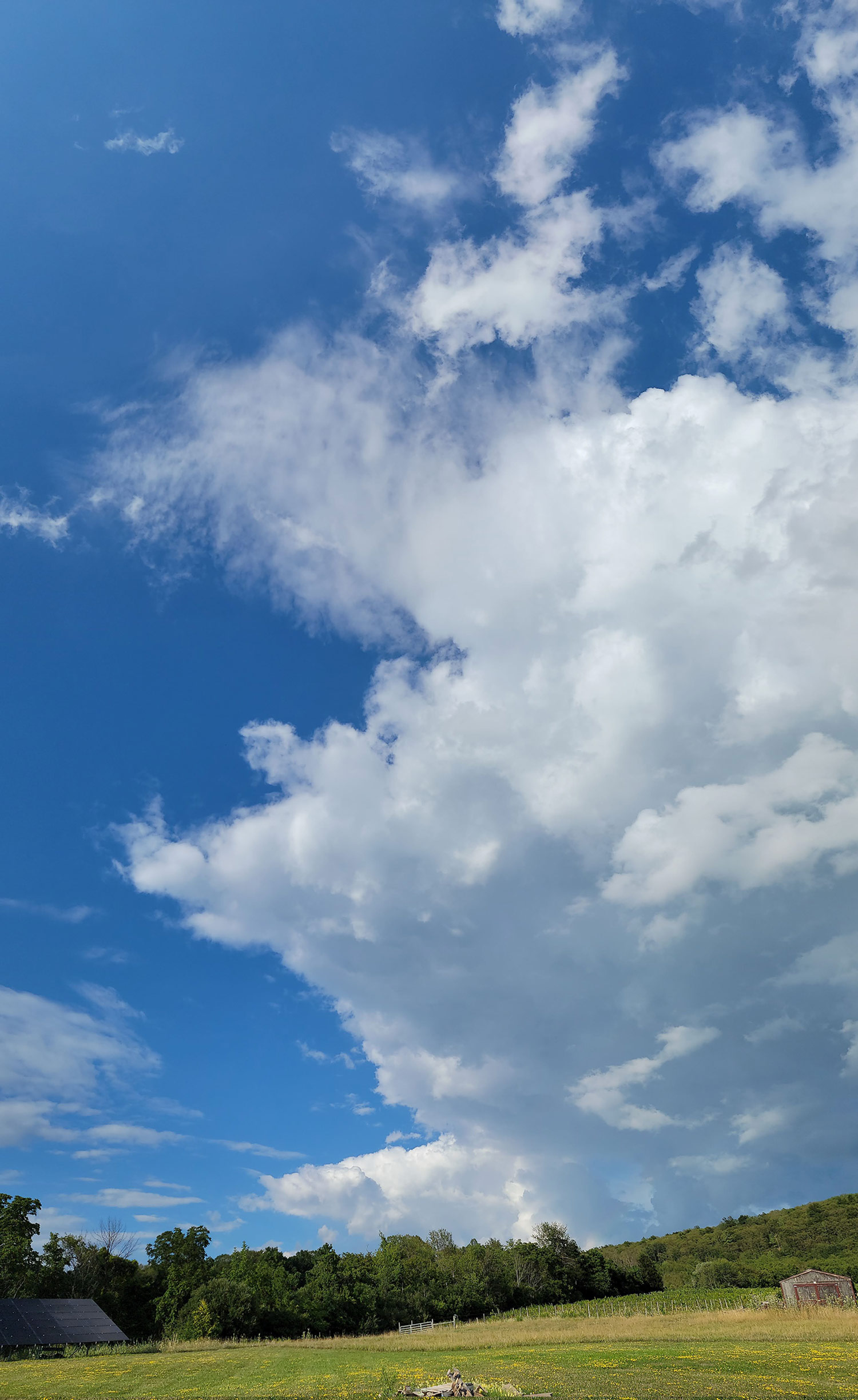 Silver Springs Winery - Backyard View of the Sky