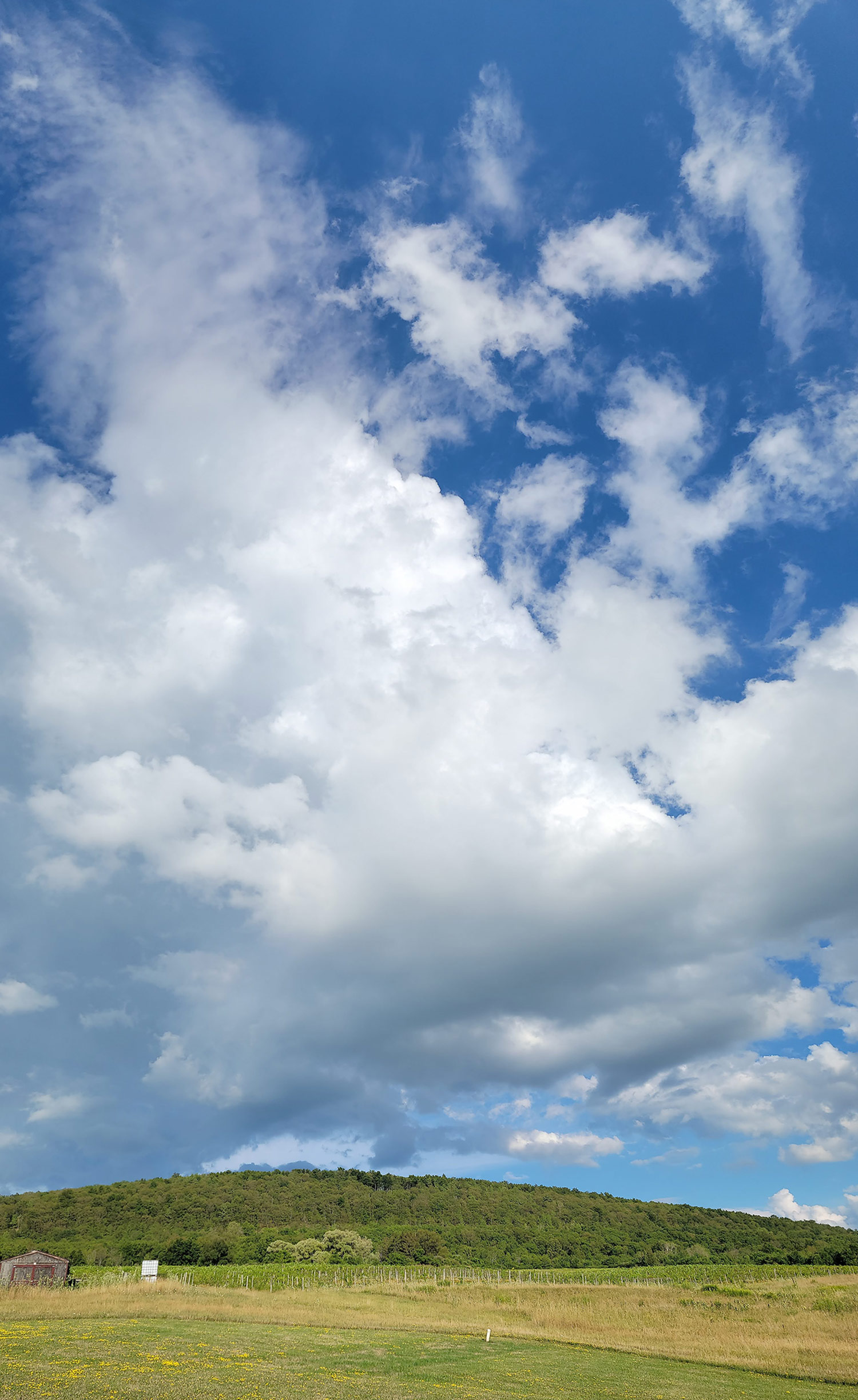 Silver Springs Winery - Backyard View of the Sky